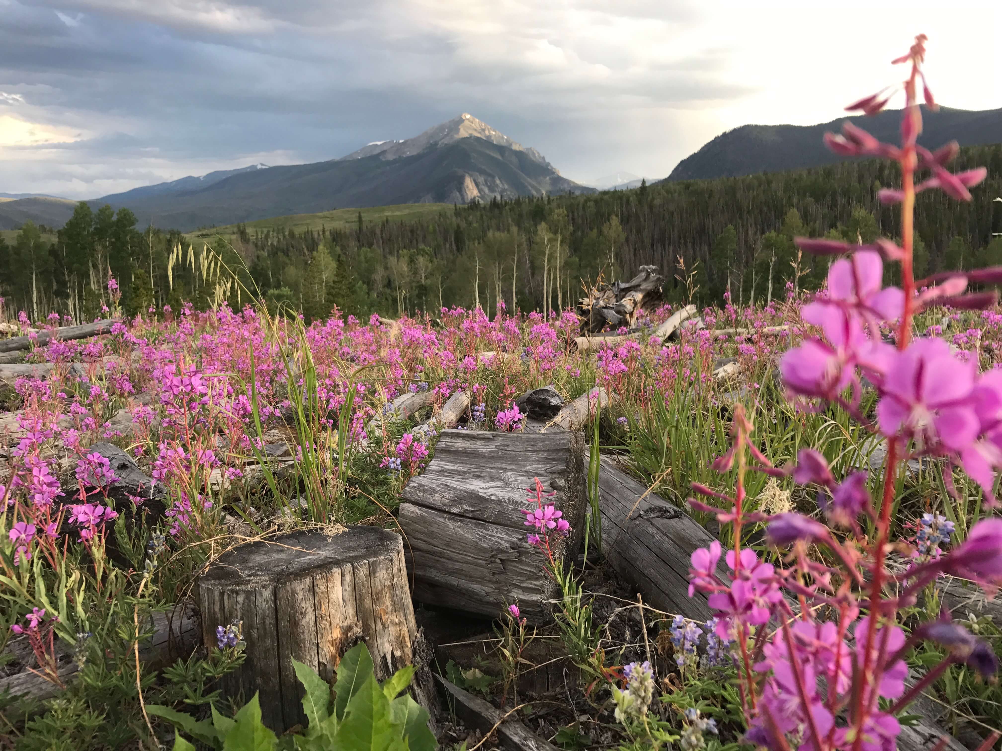 Traveling to Silverthorne, CO Traveling to Silverthorne, CO - Outdoor activities in Silverthorne